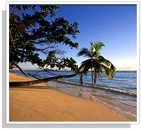 Goa Beach